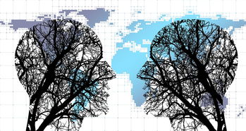 kaiyun体育app-体育新闻中心协同多方建立体育内容风控机制，体育新闻机构